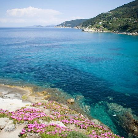 Hotel Gallo Nero Sant'Andrea Eksteriør billede