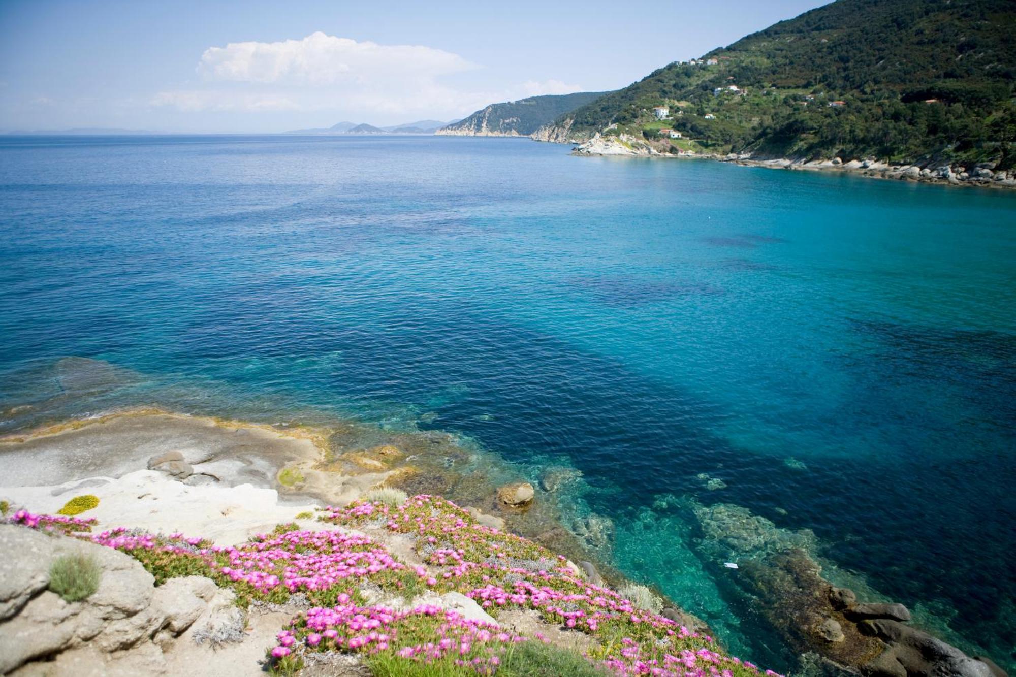Hotel Gallo Nero Sant'Andrea Eksteriør billede