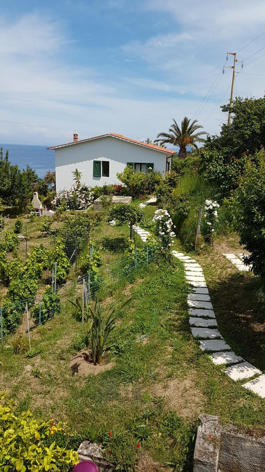 Hotel Gallo Nero Sant'Andrea Eksteriør billede