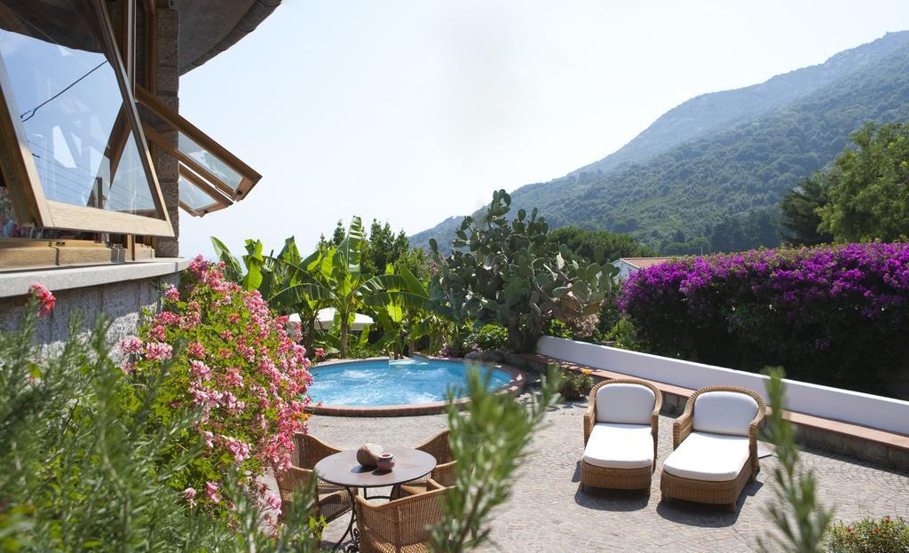 Hotel Gallo Nero Sant'Andrea Eksteriør billede