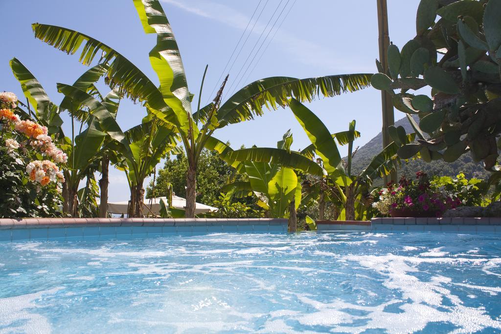 Hotel Gallo Nero Sant'Andrea Eksteriør billede