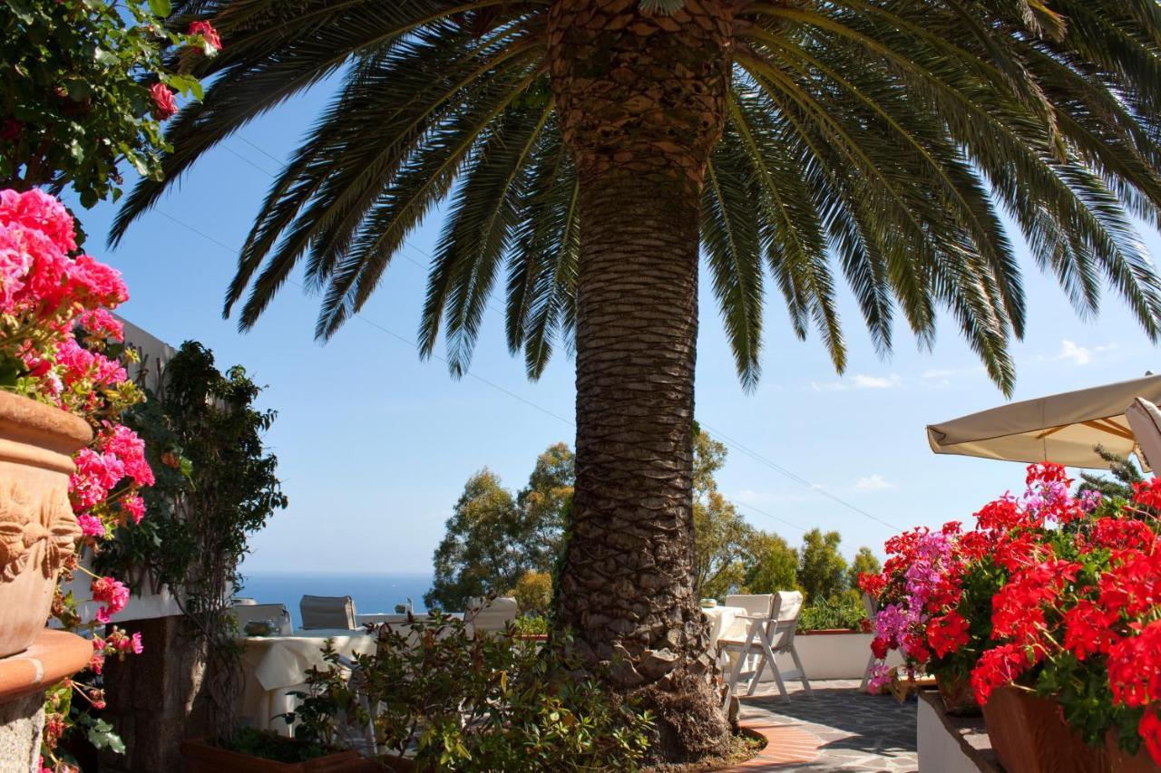 Hotel Gallo Nero Sant'Andrea Eksteriør billede