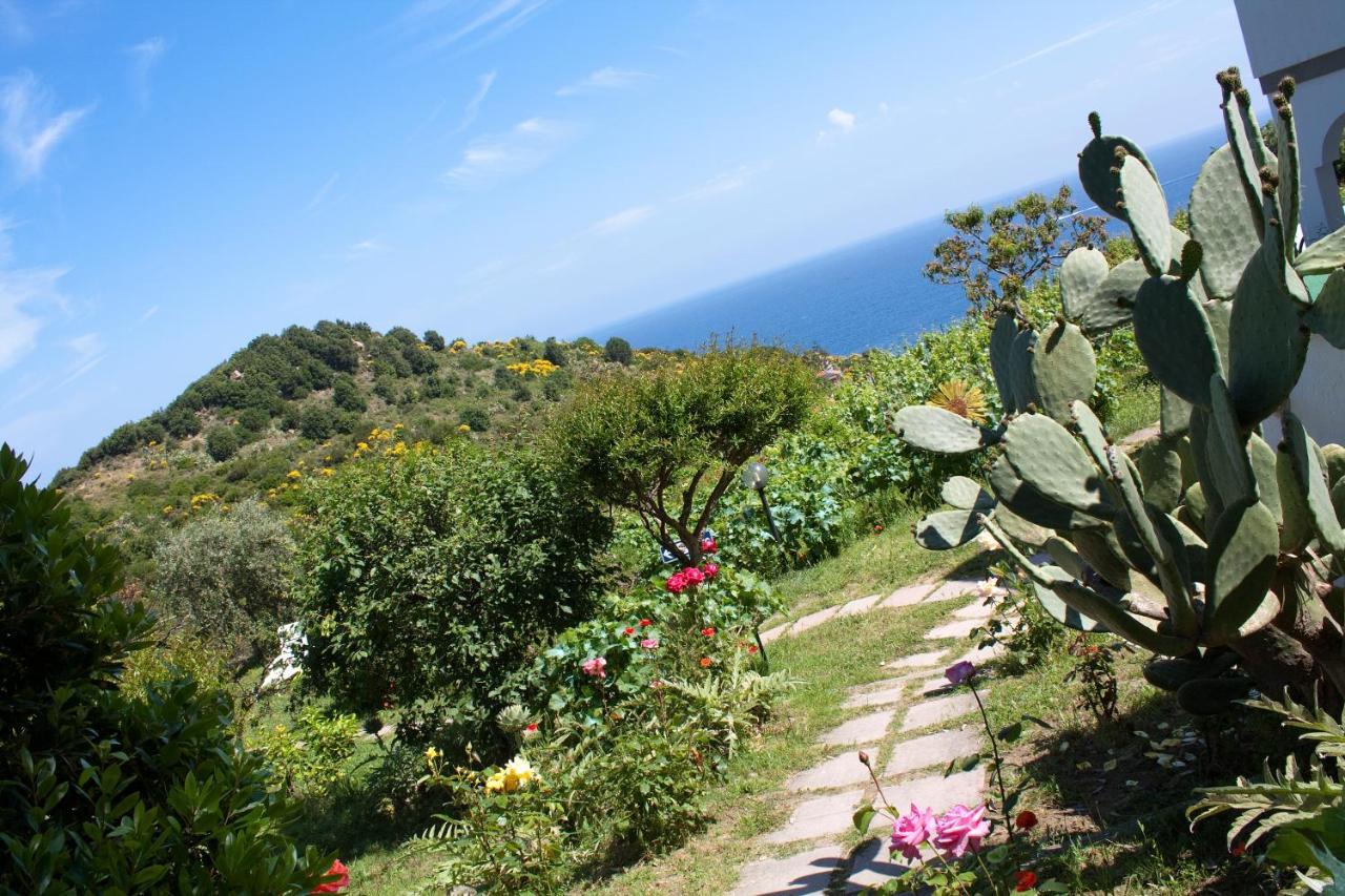 Hotel Gallo Nero Sant'Andrea Eksteriør billede